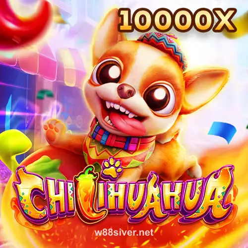 fachai_chihuahua_portrait